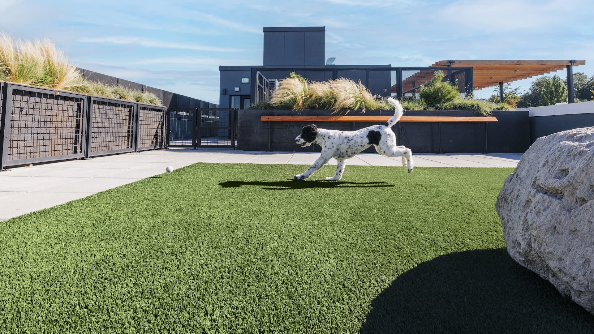 dog park with spacious green turf